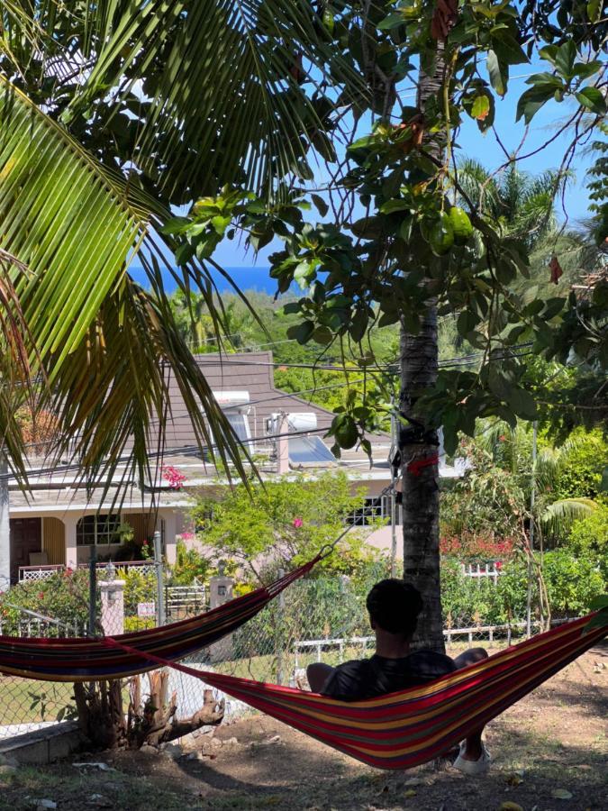 The Lodge @ Peaceful Palms Монтего Бей Екстериор снимка